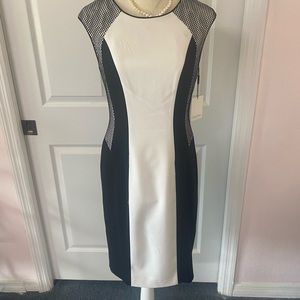 Calvin Klein black and white dress